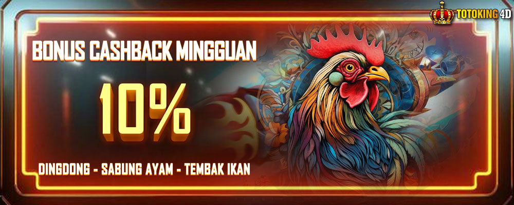 Bonus CashBack Mingguan DingDong, Sabung Ayam, dan